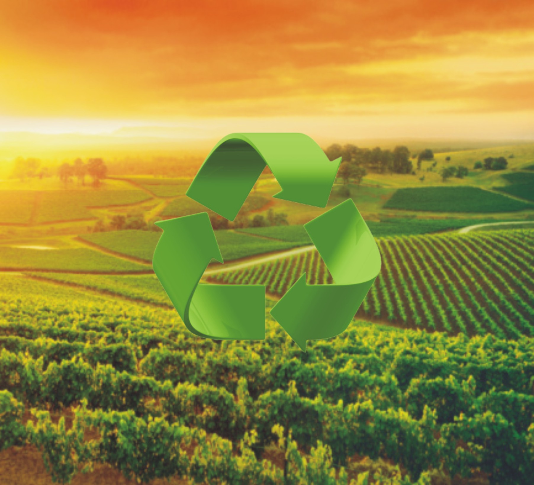 agricultura-e-sustentabilidade